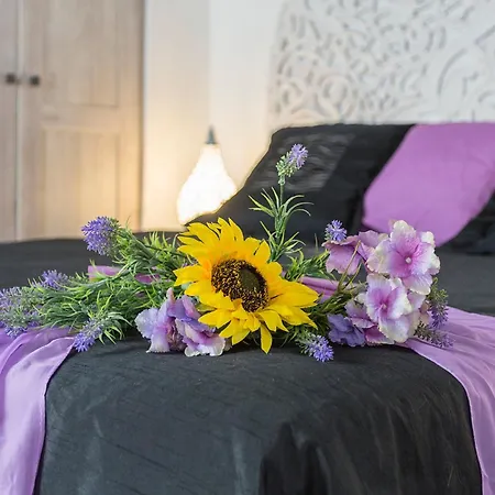 San Miguel Terraza Moderno Апартаменти