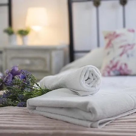 San Miguel Terraza Moderno *