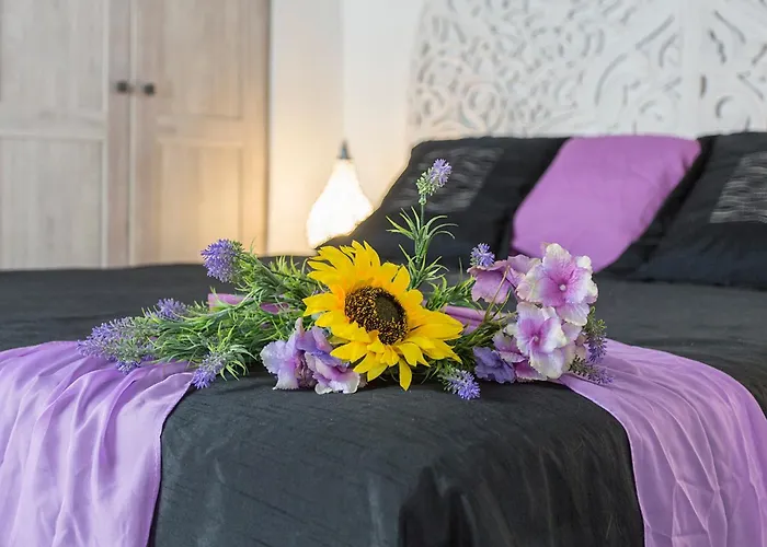 San Miguel Terraza Moderno Apartamento