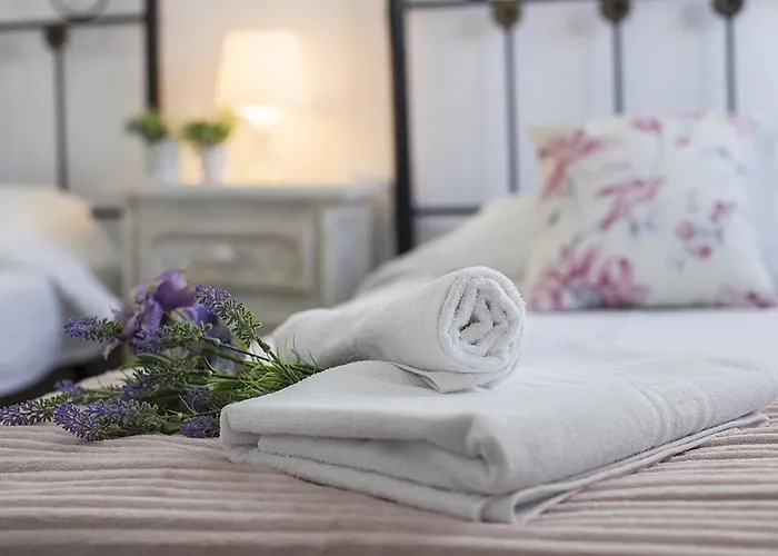 San Miguel Terraza Moderno *