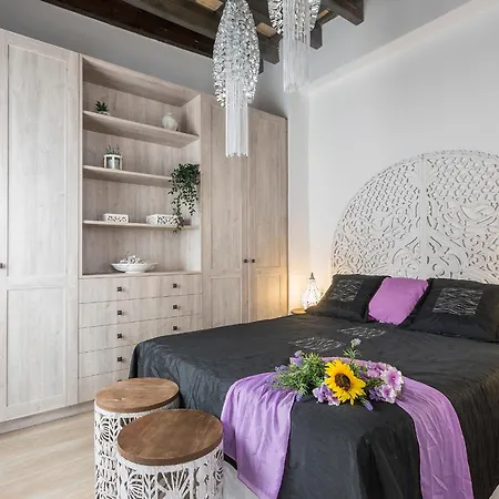 San Miguel Terraza Moderno *