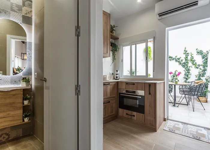 San Miguel Terraza Moderno Appartement *