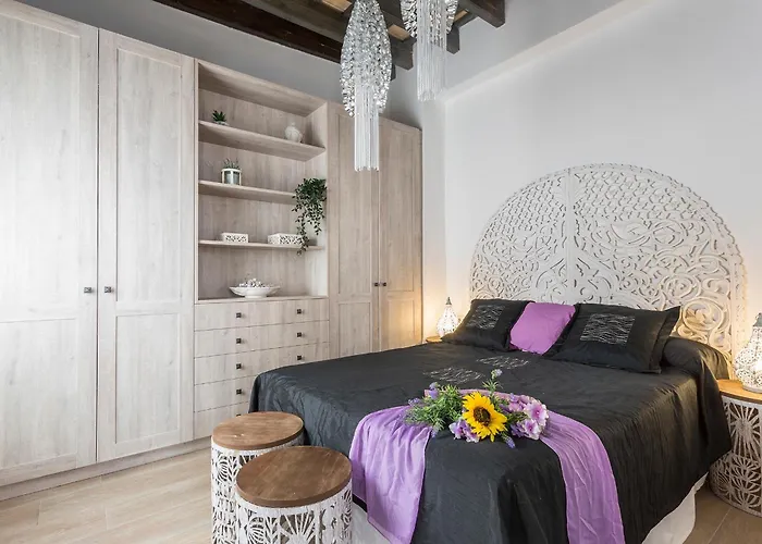 San Miguel Terraza Moderno *